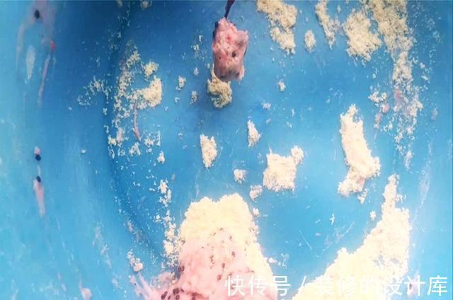 鱼饵|好用的鱼饵,不在渔具店!它“藏在”厨房