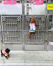 |搞笑GIF: 恐怕你要换一条裤子了 姑娘想都没想直接就坐了上去