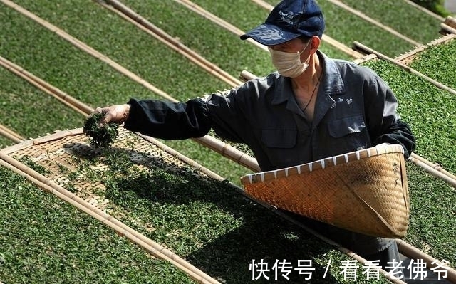 茶桌凡尔赛大法,教你一招好过年