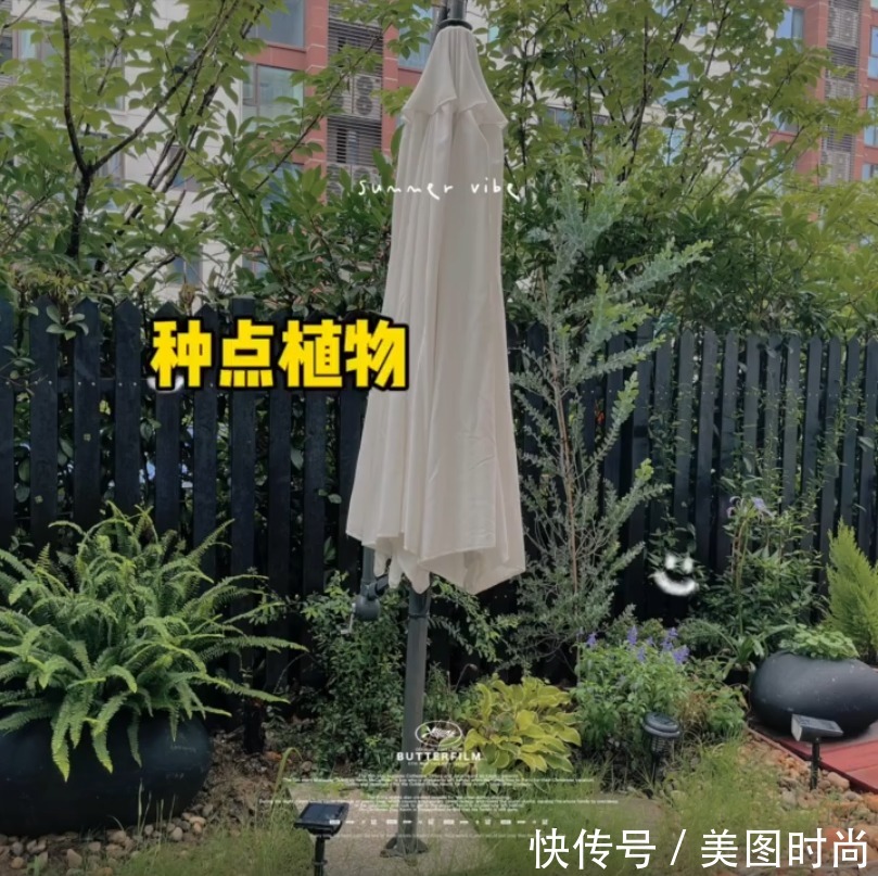 花园|花了两万块，用了7天时间改造40㎡一楼花园，分享花园改造过程