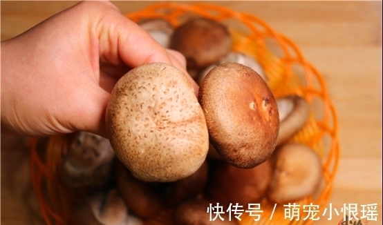 菜贩子|买香菇时，看见这几种建议不要买，菜贩子从来不吃，涨知识了?！