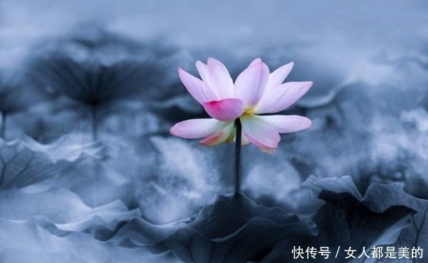 李渤|忍辱，是胜人的一种力量，万法常空灭，无生因忍全