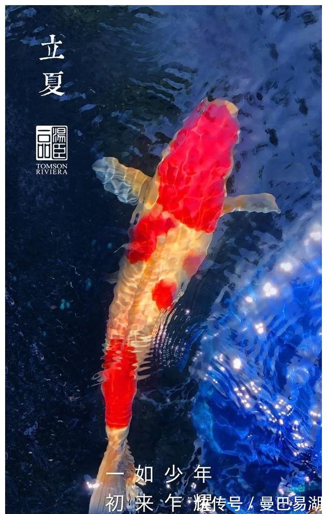 豪宅|“中国第一豪宅”汤臣一品,文案海报有多秀