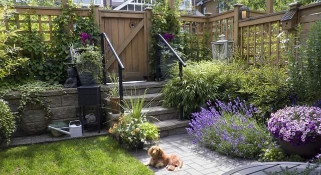 养花高手不买一楼房子,庭院生活,一个阳台就能实现,羡慕