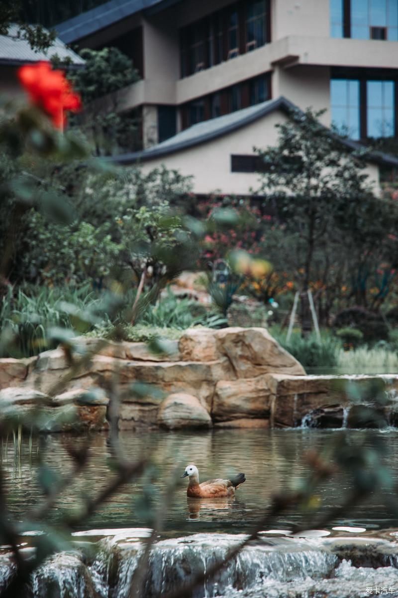 我和我的爱车高尔夫嘉旅来葛仙村过几天神仙日子