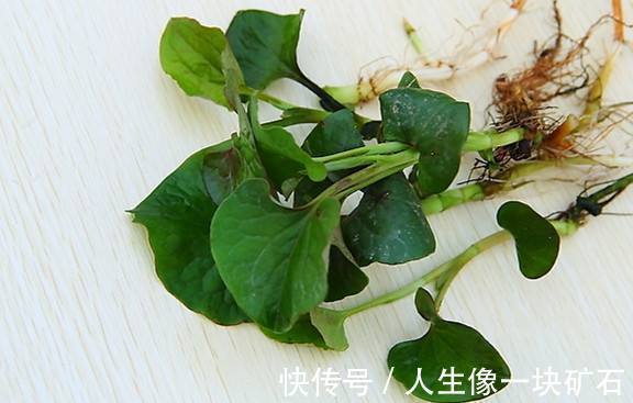 便秘|天然的“通便剂”,经常吃一点,排出黑臭宿便,远离便秘和痔疮