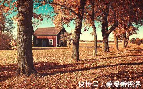 光宗耀祖|几月出生的孩子,聪明有才,长大后必定光宗耀祖,成就一番伟业