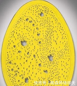 艺术|一刀封神!他在油画布上割了一刀,便成绘画大师,一幅画卖1