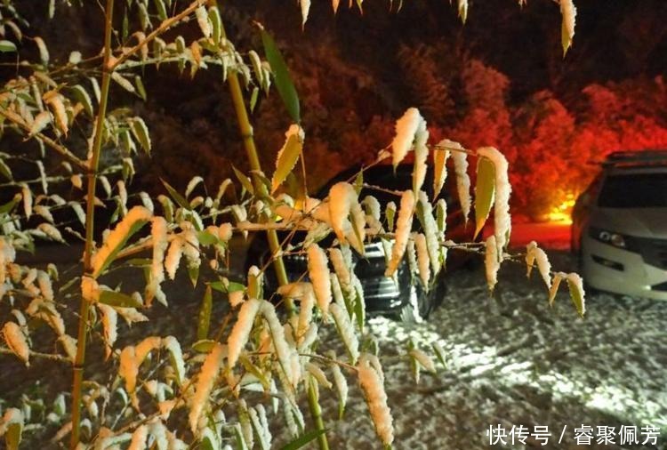 雪景|瑞雪醉心南山夜，游客连夜入住九如山欣赏雪景