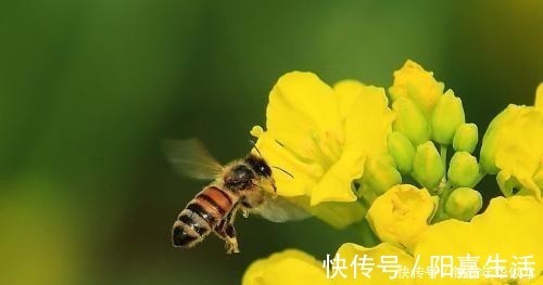 出息|孩子出生在几点钟,孝心十足,日后必定是有用之才,光宗耀祖