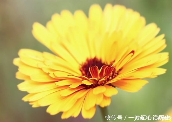 眉头|眉头皱纹怎么去除 ,笑看世间变迁 ,而你仍旧青春常在!