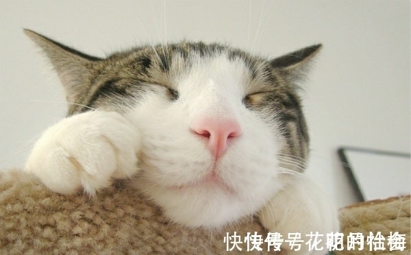 |内涵段子:出差前,在老婆包里放了一个定位仪,又在老王家