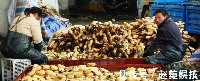 莲藕|秋天就要多吃4白3黄,少吃3绿,滋补润肺,去秋燥,顺利度过秋天