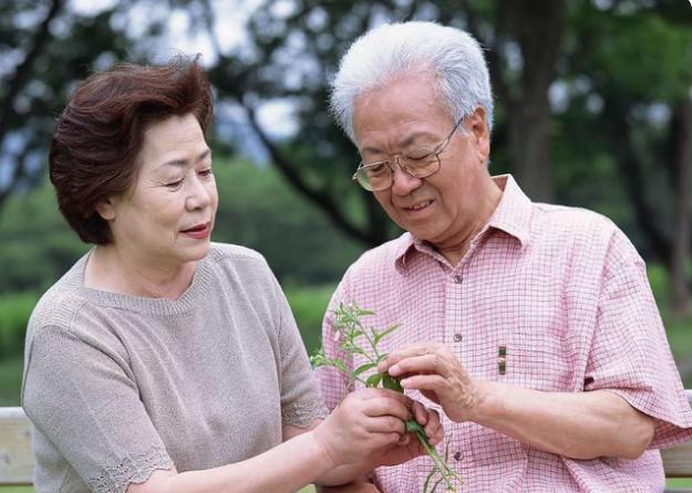 畸变率|一对50岁中年夫妻，每天坚持喝黄芪泡水，后来俩人怎样了呢？