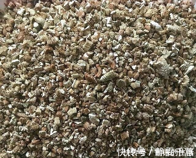 草炭土|养花就要配土,小花匠教你两种配土方法,养花特别棒,保准不烂根!