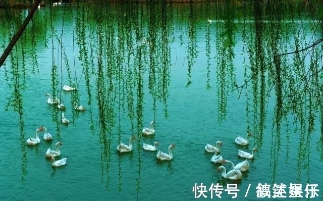 春江水暖&这3首著名的诗也曾备受质疑,是抬杠还是诗句确实有问题?