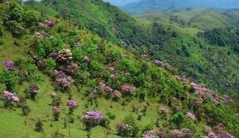 藏在广东的八大草原，每一个都是风景美如画你去过吗