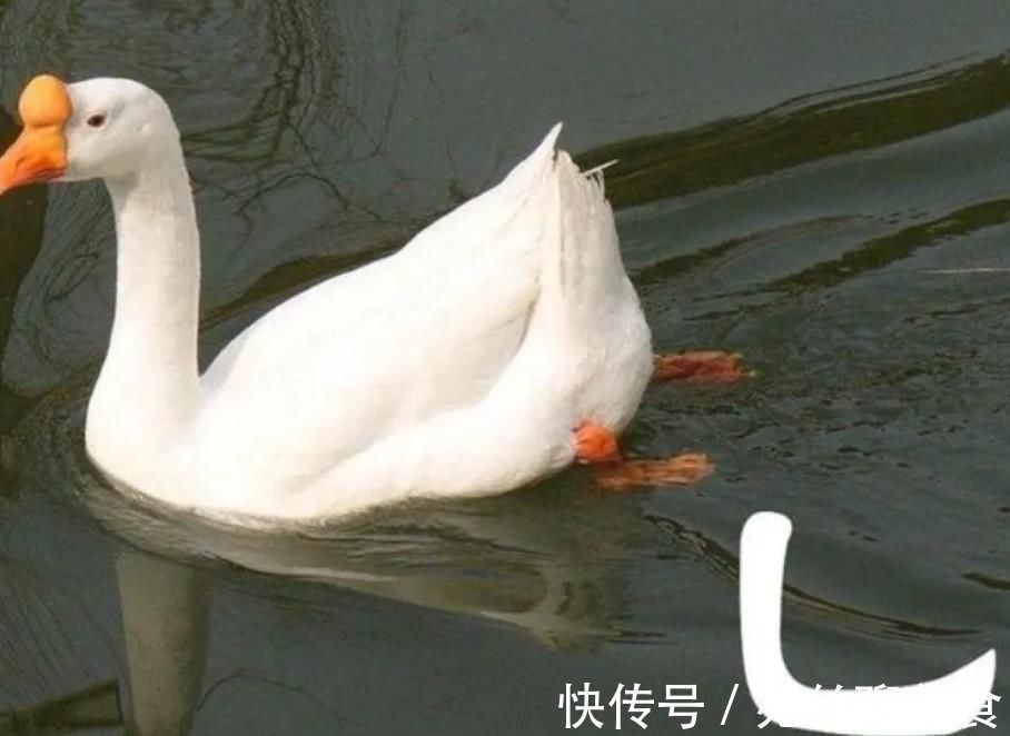 中国文化!中国最简单的4个汉字:虽只有“一笔”,但大多数的人不会读