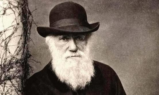 未来的人类长什么样吗？计算机模拟出未来人的形象，看起来有点丑