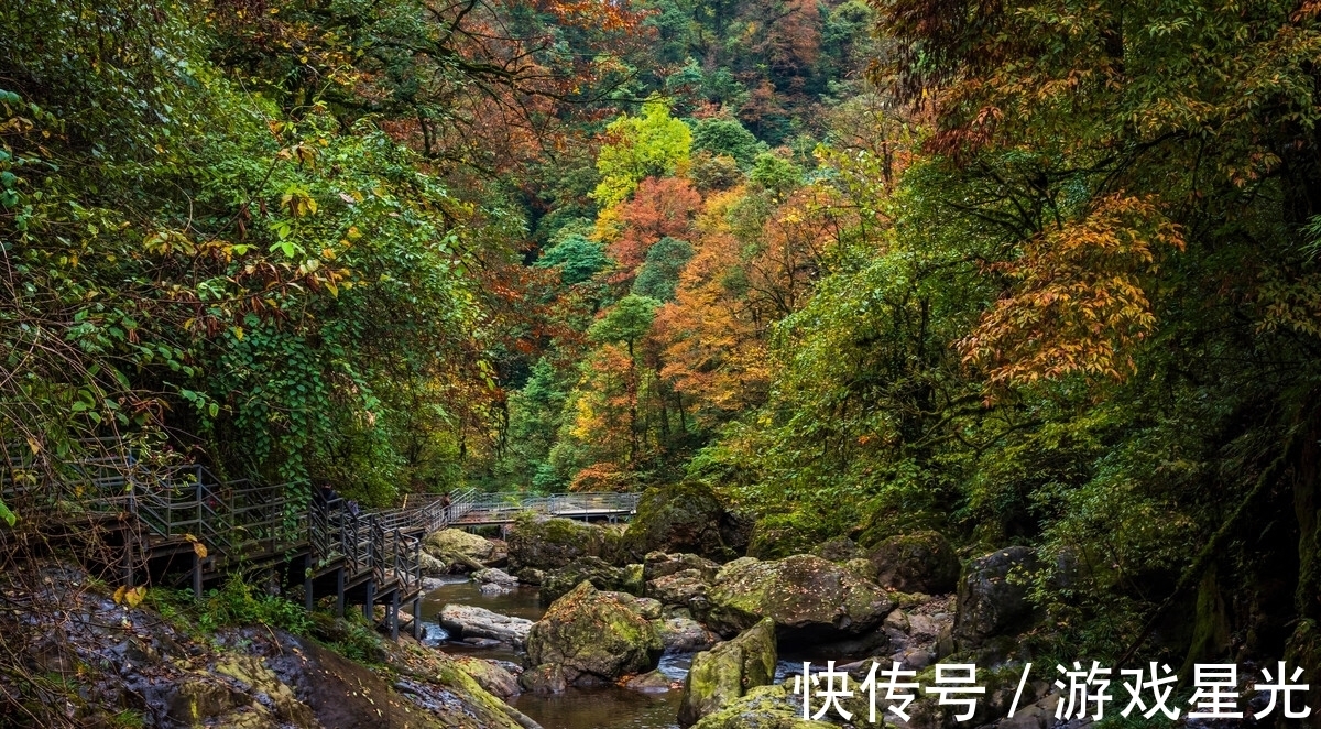 李清照|淺秋，等你來古詩詞里聽雨