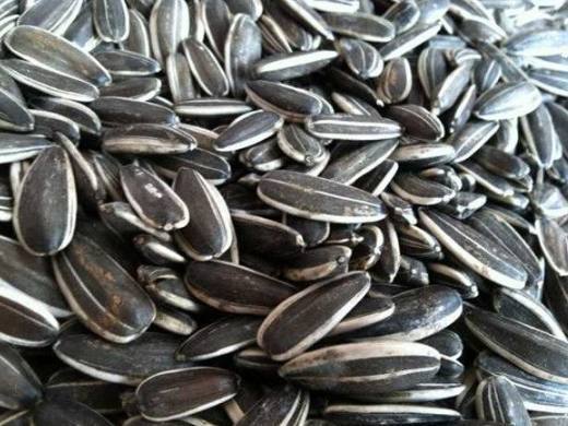 食物|医生从来不吃的4种食物,有很多人还抢买,现在清楚还不晚