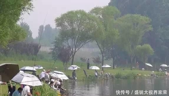 入夏后,野钓鲫鱼的四点建议,能让渔获稍微好一些