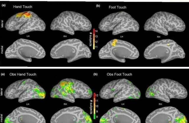 儿科医生|儿科医生4个部位多抚摸,娃聪明睡得好,但不少父母连碰都不碰