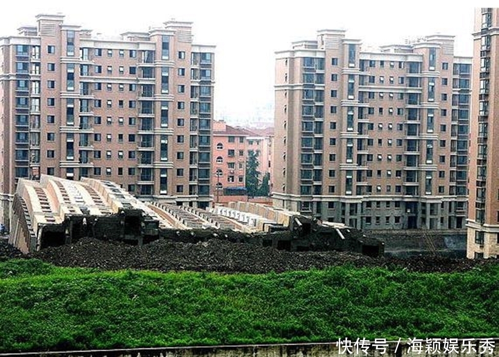 蚊虫|哪个楼层“蚊子”最多?后悔没听售楼小姐的话,买错了楼层!