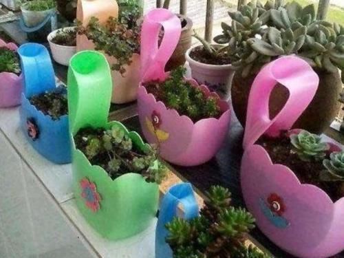 下部分|家里养花怎能少了它们!当花盆,独特、美观又省钱!