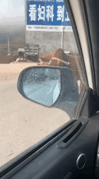 |搞笑GIF: 裤子突然破了个洞 机智的我想出了一个妙法