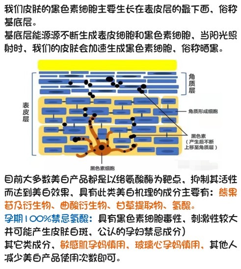 三类护肤品孕期千万别碰！对胎儿有害！孕妇用哪些安全不踩雷？