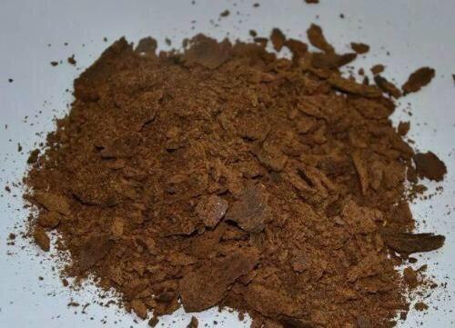 花朵|秋季养“蟹爪兰”，10天浇1碗肥水，开花多3倍，花朵大、花色艳