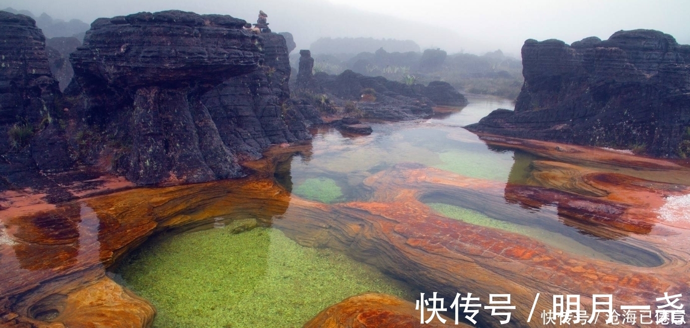 摩羯|纯净如水，沉稳扎实的星座，容易熬成大智慧，城府深厚，低调淡泊