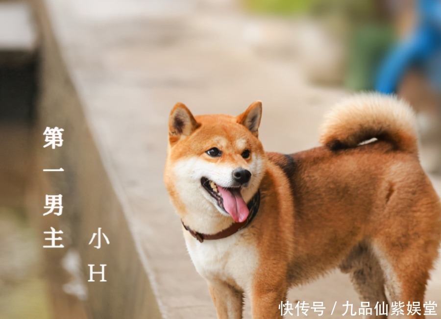 张艺兴 《向往的生活5》首张大合影出炉,张艺兴站位靠后,c位给了妹妹