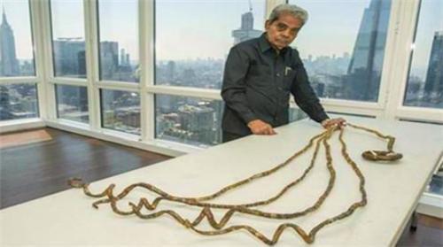 苦行僧&他66年没剪指甲,将9米长指甲捐给博物馆后,有了新的发现