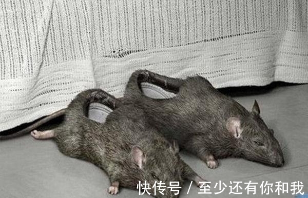 奇葩|穿这样的高跟鞋走在街上确定不会被认成奇葩,外国女星竟然天天穿