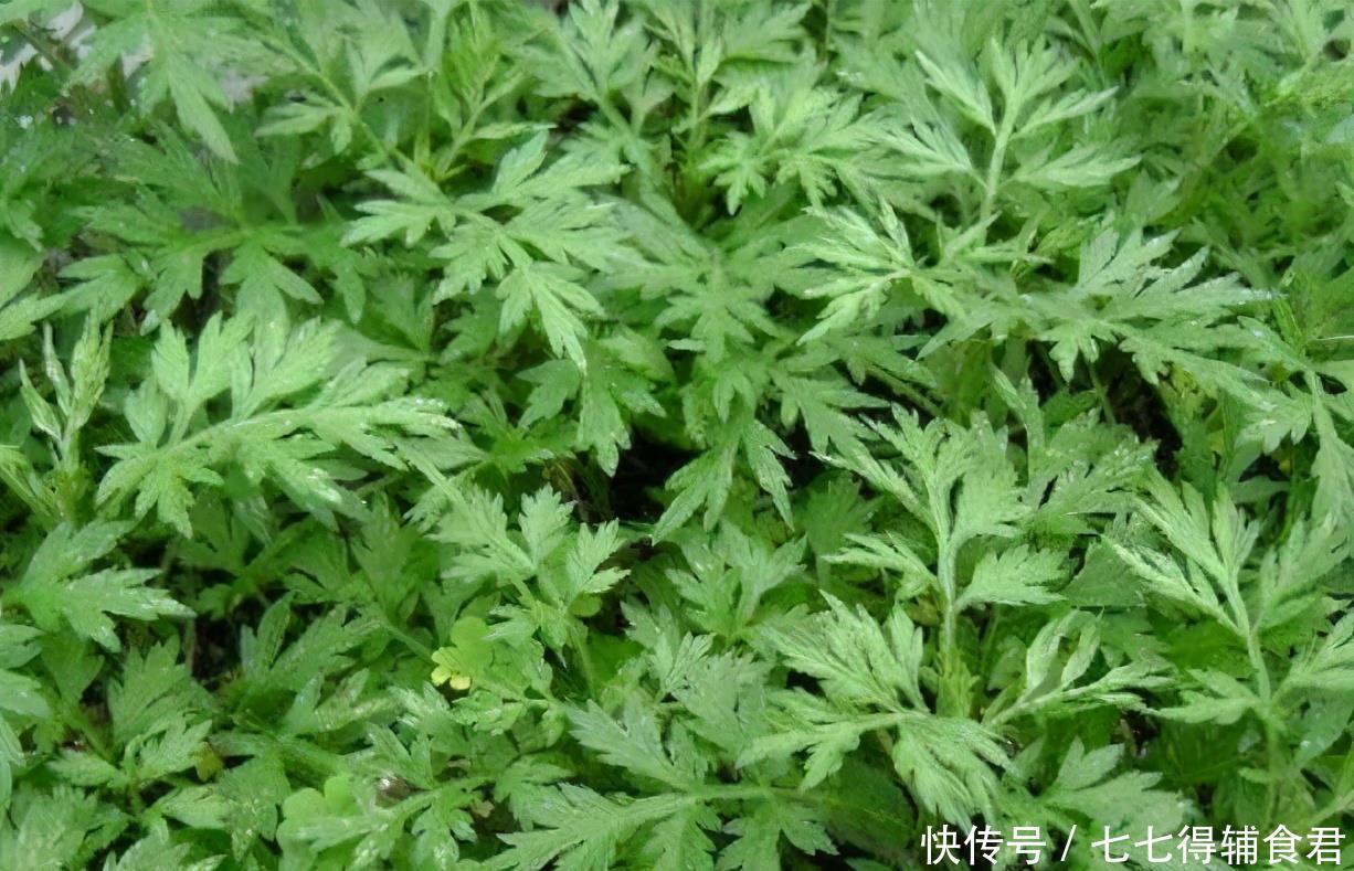 排毒|冬天不妨多吃3种食物,排毒养肝、补益身体,好处多多