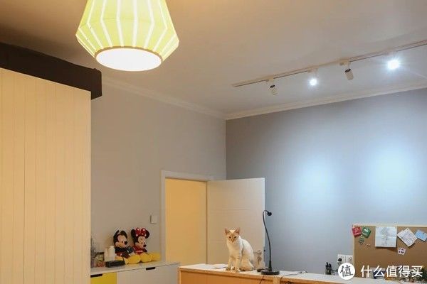 频闪|筒灯射灯究竟怎么选择,哪些地方用更合适,怎么搭配才更科学,近7000字长文一次说透