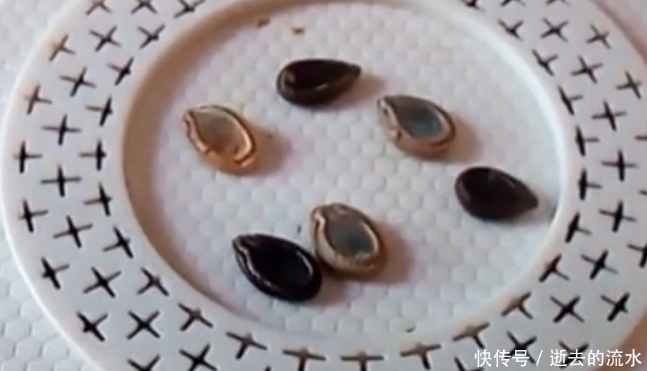 很多人当垃圾扔掉的丝瓜籽,如今一斤60元,是民间常用的中草药