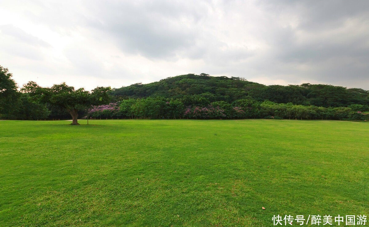 深圳|游深圳莲花山公园，植被种类繁多，山环水绕