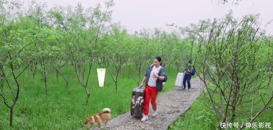 蘑菇|“向往3懒”的影响有多大?何炅看到新嘉宾主动干活,竟心生感动