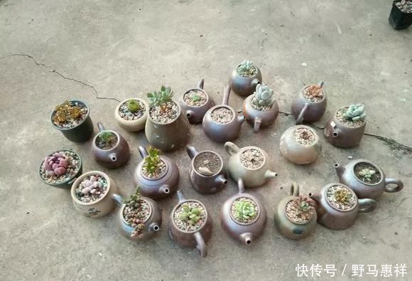 花盆不用买,变废为宝做一个,比买的还好看,分分钟惊艳朋友圈