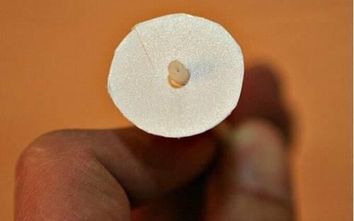 保证|吃完的坚果不能丢,坚果壳变身记,保证创意一箩筐