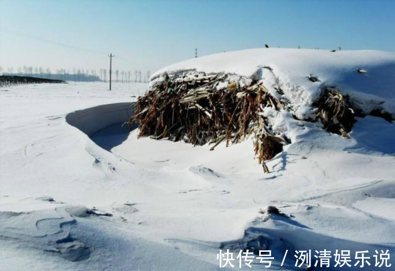 逢雪宿芙蓉山主人！刘长卿最经典的一首诗，即使是再过一千年，那也是无人能够超越！