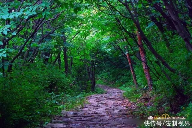 柞水|初夏时节，来柞水感受葱葱绿意~