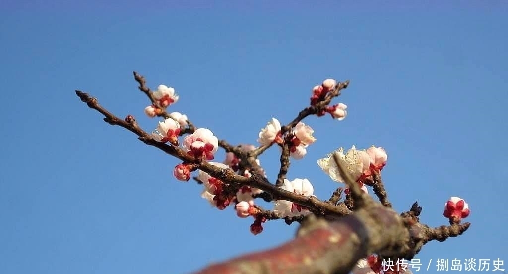 宋诗#这首宋诗脍炙人口,其中一句被误解太深,诗人访友不成写下绝唱!