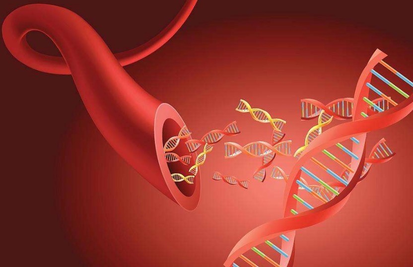 食物|食物中的“阿司匹林”被发现,坚持多食,血管可能会越来越顺畅