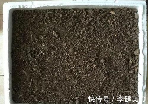 养花:因为土壤呈碱性而引发黄叶问题,就该用这几样“水”解决