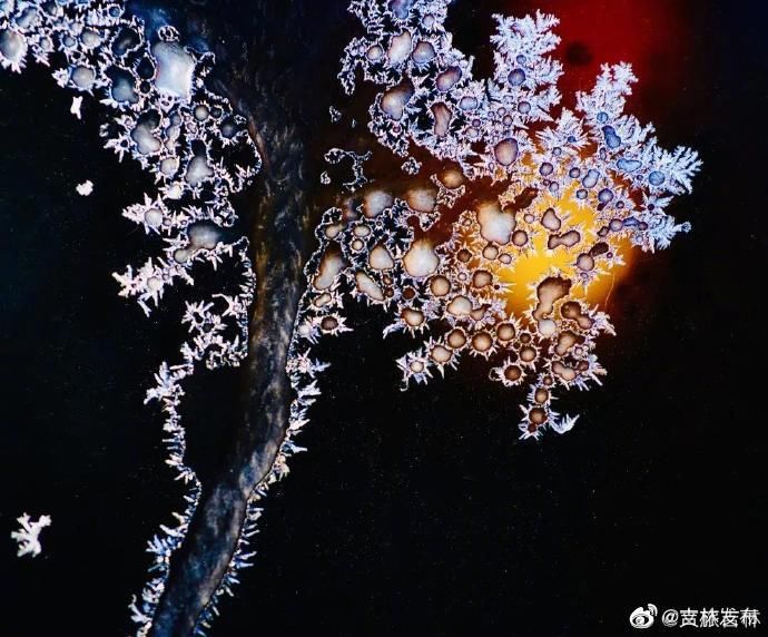  你家|霜窗花，冬天给你家窗子的吻！这些图美得像梦~