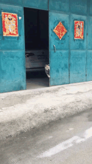 医院|“手上长了两根硬刺,去医院看什么科?”哈哈